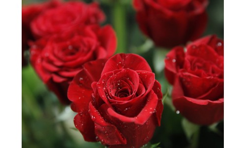 blog